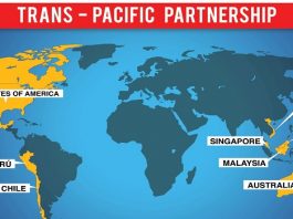 Bảo hộ nhãn hiệu trong TPP