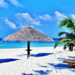 Hồ sơ đăng ký bảo hộ độc quyền thương hiệu ngành du lịch Đăng ký bảo hộ thương hiệu ngành du lịch