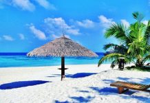 Hồ sơ đăng ký bảo hộ độc quyền thương hiệu ngành du lịch Đăng ký bảo hộ thương hiệu ngành du lịch