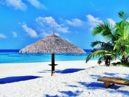 ​Đăng ký bảo hộ thương hiệu ngành du lịch