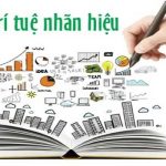 Nhà nước là chủ sở hữu quyền tác giả trong trường hợp nào