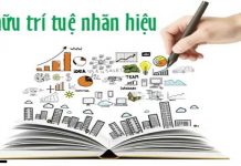 Nhà nước là chủ sở hữu quyền tác giả trong trường hợp nào