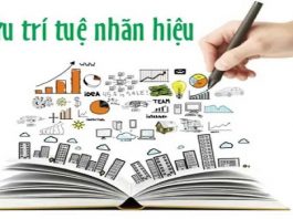 Nhà nước là chủ sở hữu quyền tác giả trong trường hợp nào