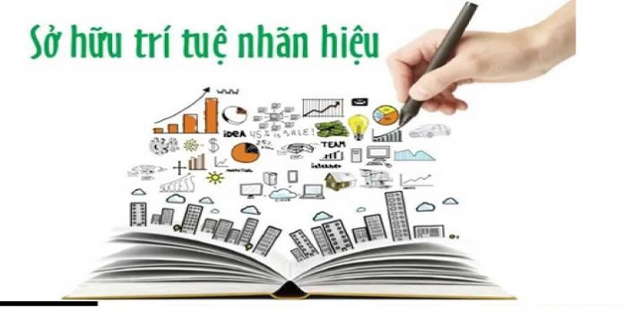 Nhà nước là chủ sở hữu quyền tác giả trong trường hợp nào