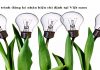 Quy trình đăng ký nhãn hiệu chỉ định tại Việt nam
