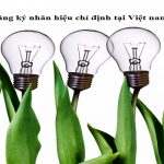 Quy trình đăng ký nhãn hiệu chỉ định tại Việt nam