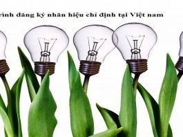 Quy trình đăng ký nhãn hiệu chỉ định tại Việt nam