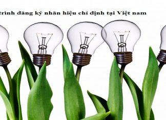 Quy trình đăng ký nhãn hiệu chỉ định tại Việt nam