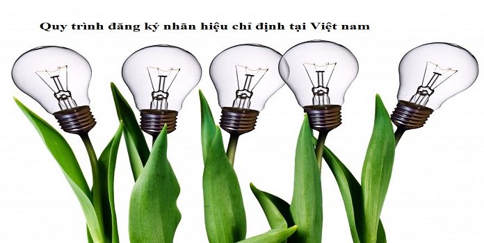 Quy trình đăng ký nhãn hiệu chỉ định tại Việt nam