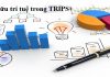 Sở hữu trí tuệ trong TRIPS+