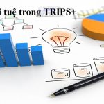 Sở hữu trí tuệ trong TRIPS+ Sở hữu trí tuệ trong TRIPS+