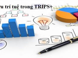 Sở hữu trí tuệ trong TRIPS+