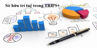 Sở hữu trí tuệ trong TRIPS+