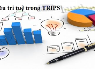 Sở hữu trí tuệ trong TRIPS+