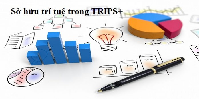 Sở hữu trí tuệ trong TRIPS+