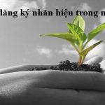 Thủ tục đăng ký nhãn hiệu trong nước