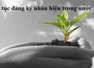 Thủ tục đăng ký nhãn hiệu trong nước
