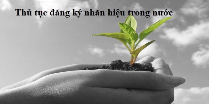 Thủ tục đăng ký nhãn hiệu trong nước