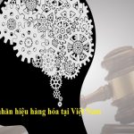 Tư vấn đăng ký nhãn hiệu hàng hóa tại Việt Nam Tư vấn đăng ký nhãn hiệu hàng hóa tại Việt Nam
