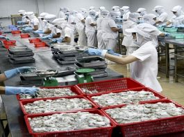 Đăng ký bảo hộ nhãn hiệu ngành thủy sản