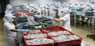 Đăng ký bảo hộ nhãn hiệu ngành thủy sản