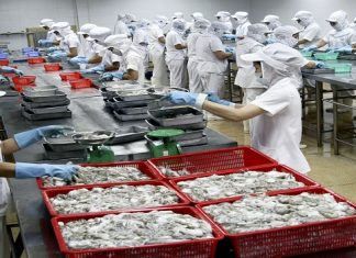 Đăng ký bảo hộ nhãn hiệu ngành thủy sản