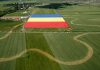 Đăng ký nhãn hiệu tại nước Romania