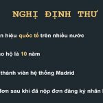 Đăng ký nhãn hiệu thông qua Nghị định thư Madrid