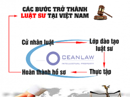 Để trở thành luật sư ai cũng phải trải qua những bước này