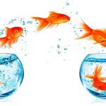Mẫu tờ khai đăng ký hợp đồng chuyển nhượng quyền sở hữu công nghiệp Mẫu tờ khai đăng ký hợp đồng chuyển nhượng quyền sở hữu công nghiệp