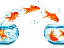 Mẫu tờ khai đăng ký hợp đồng chuyển nhượng quyền sở hữu công nghiệp