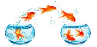 Mẫu tờ khai đăng ký hợp đồng chuyển nhượng quyền sở hữu công nghiệp