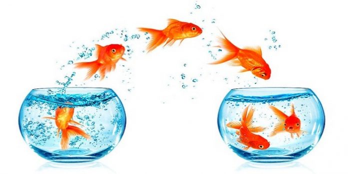 Mẫu tờ khai đăng ký hợp đồng chuyển nhượng quyền sở hữu công nghiệp