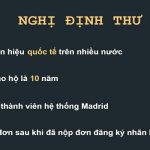 Nghị định thư Madrid về đăng ký nhãn hiệu hàng hóa
