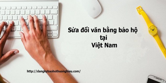 Sửa đổi văn bằng bảo hộ nhãn hiệu tại Việt Nam