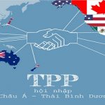 ​Vi phạm quyền sở hữu trí tuệ trong TPP