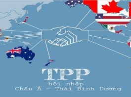 ​Vi phạm quyền sở hữu trí tuệ trong TPP